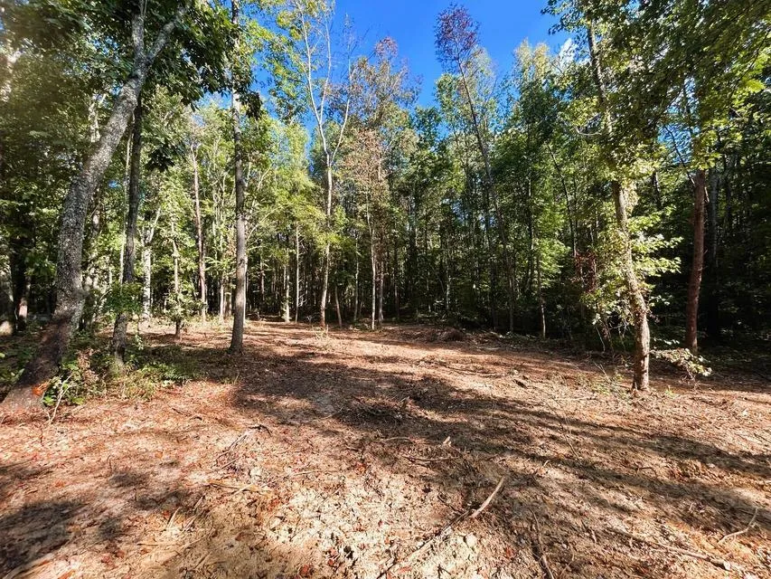 4 Pleasant Hill Road Ten Mile, TN 37880