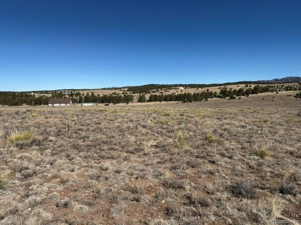 228 Navajo Path Westcliffe, CO 81252