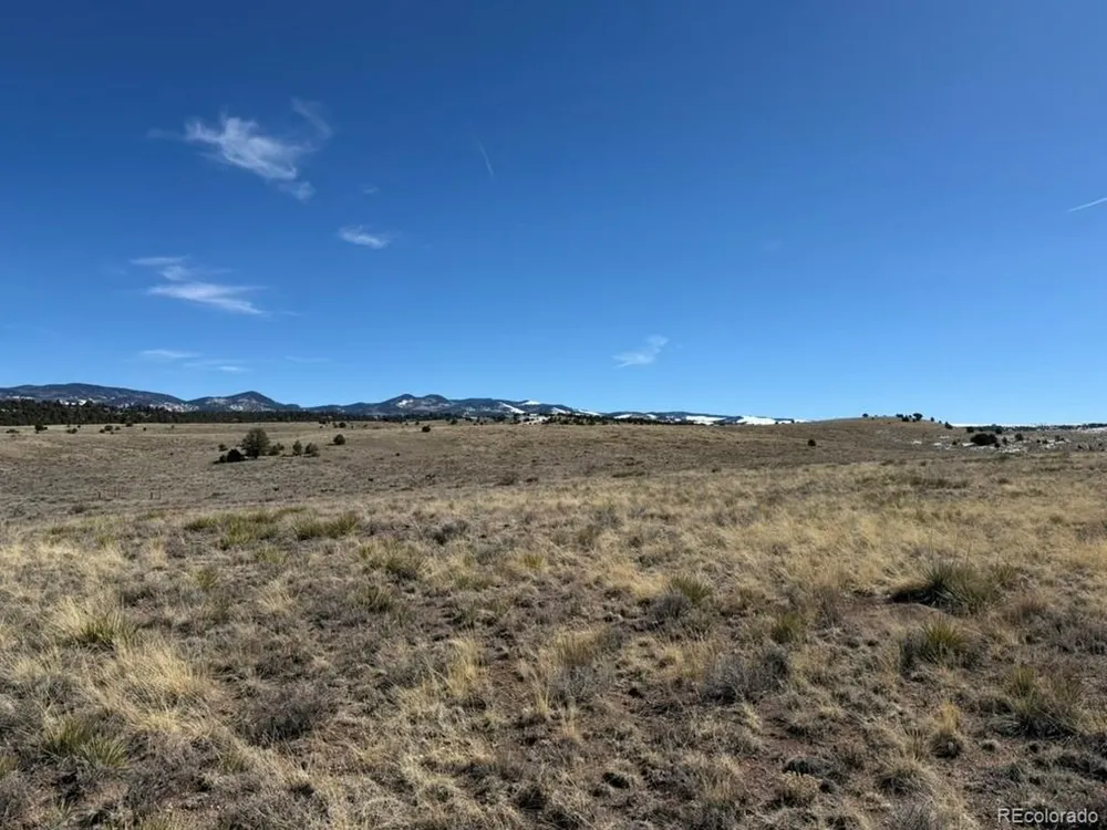 228 Navajo Path Westcliffe, CO 81252