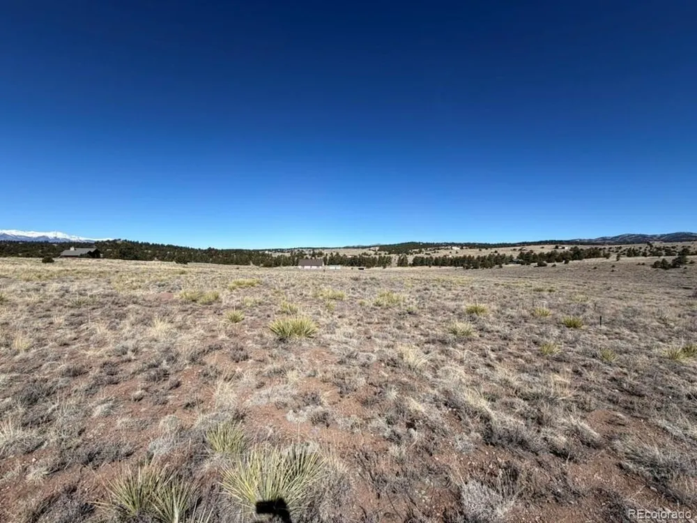 228 Navajo Path Westcliffe, CO 81252