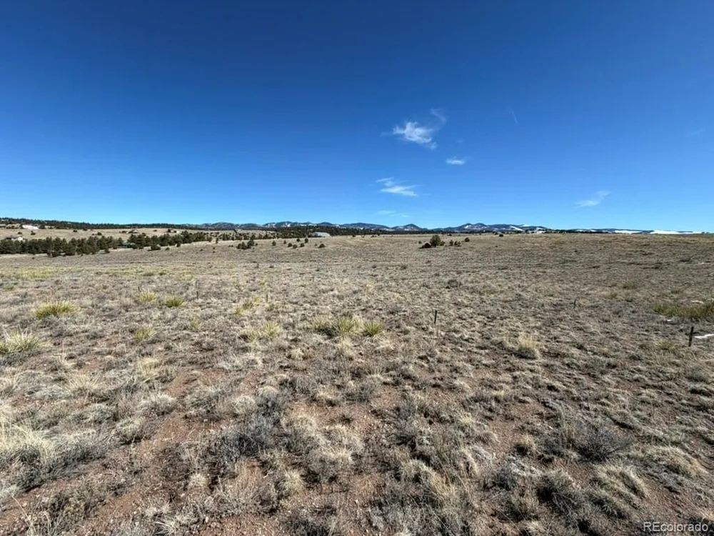 228 Navajo Path Westcliffe, CO 81252