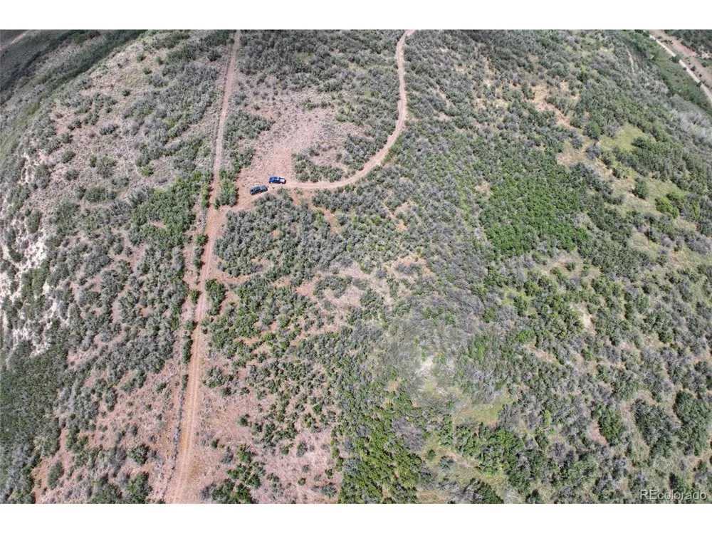 Address Not Shown Collbran, CO 81624