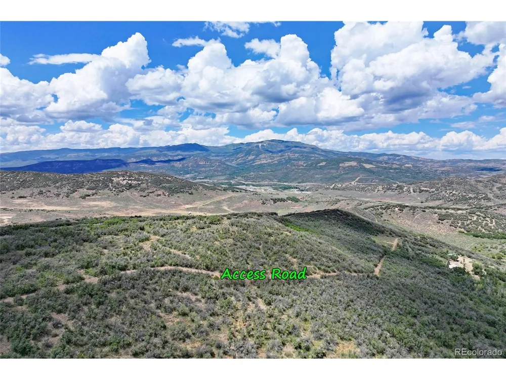 Address Not Shown Collbran, CO 81624