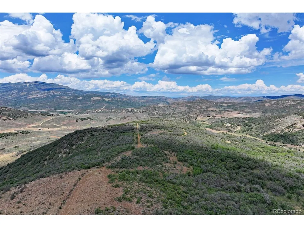 Address Not Shown Collbran, CO 81624