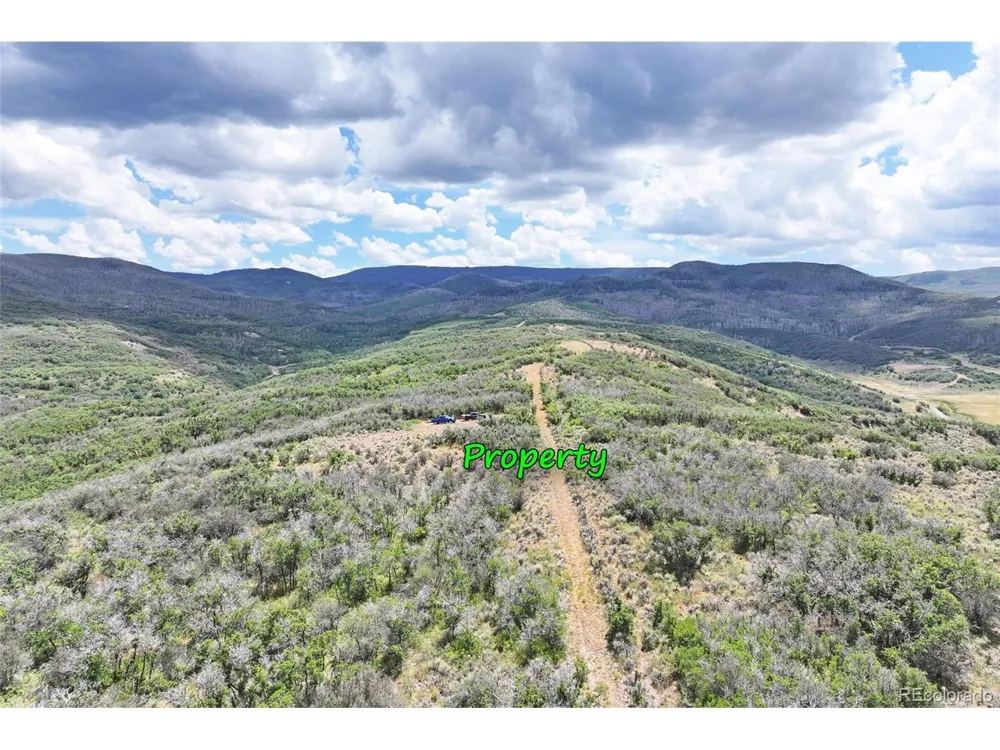 Address Not Shown Collbran, CO 81624