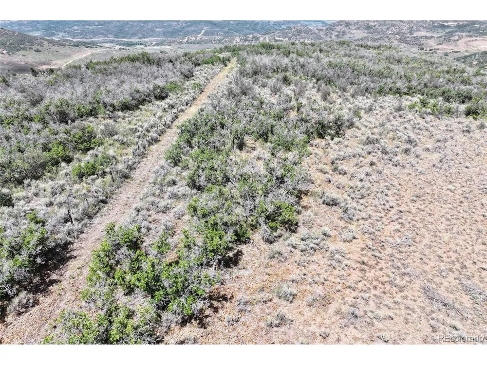 Address Not Shown Collbran, CO 81624