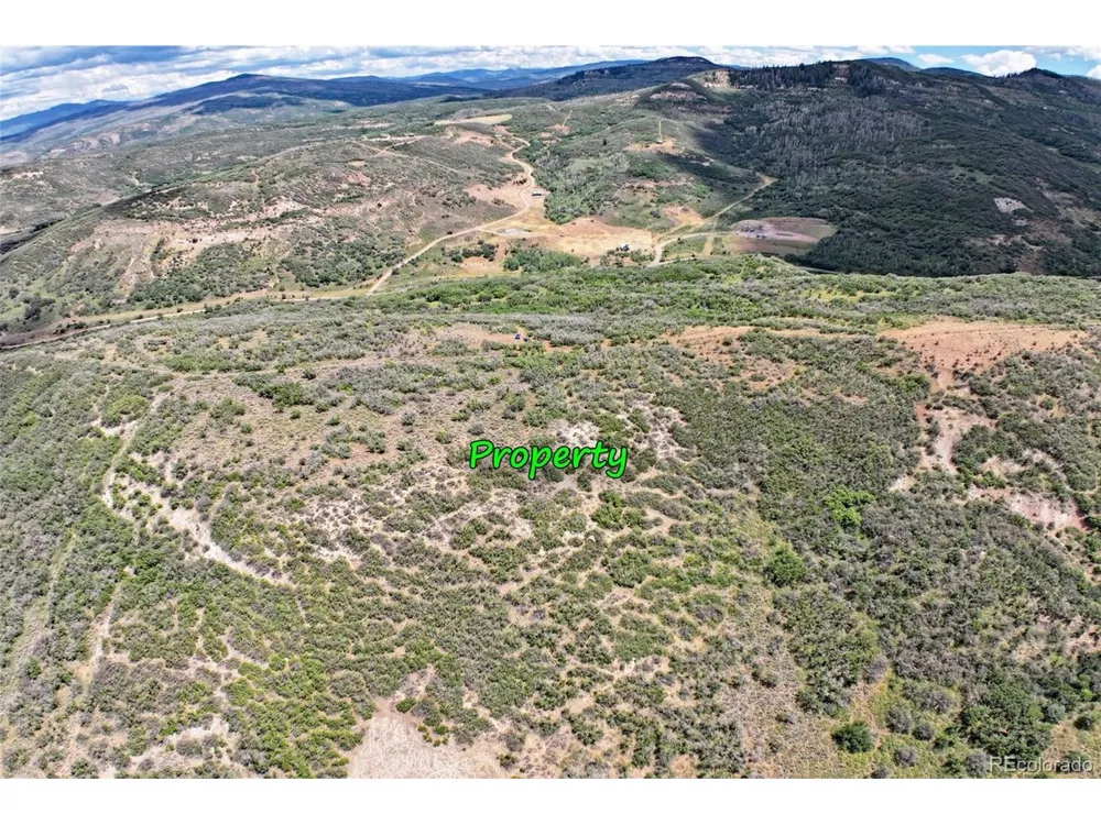 Address Not Shown Collbran, CO 81624