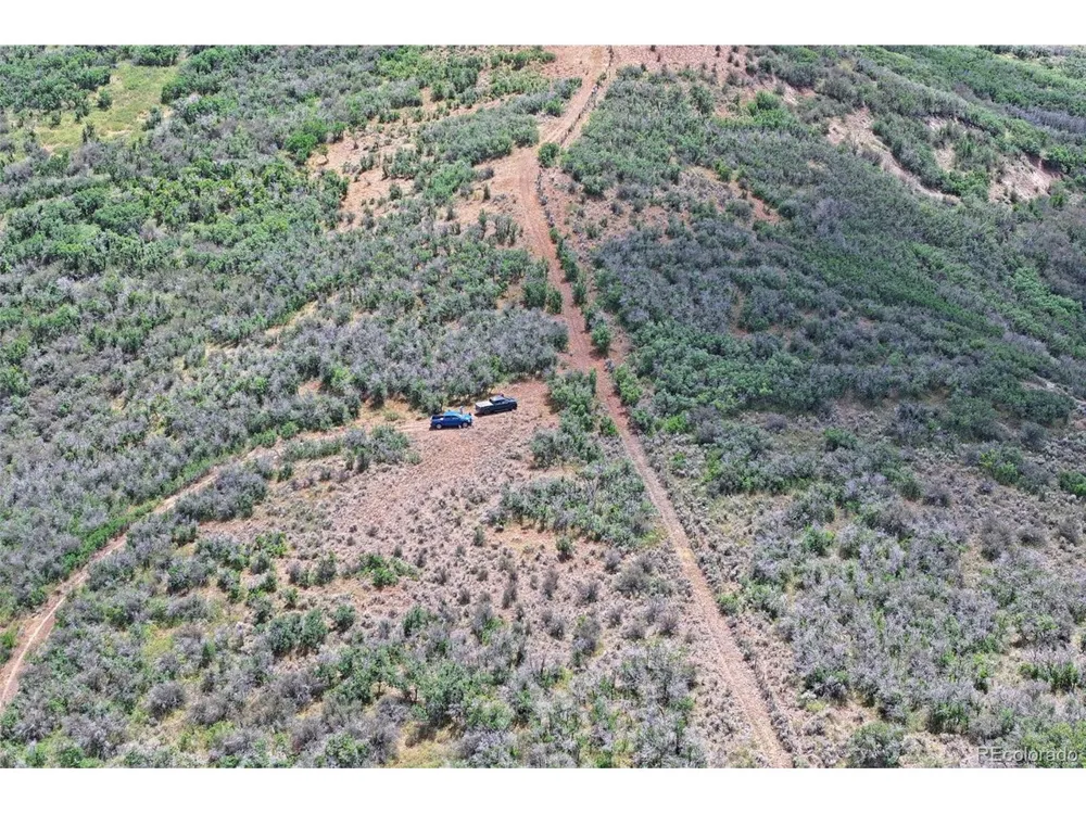 Address Not Shown Collbran, CO 81624