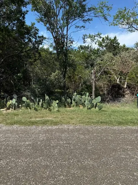 Elf Trail Belton, TX 76513