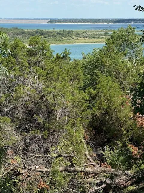 Elf Trail