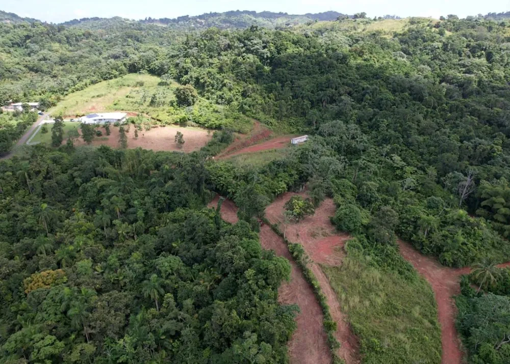 14, CAMINO FRANK ORTIZ KM 12.3 Mayaguez, PR 00680