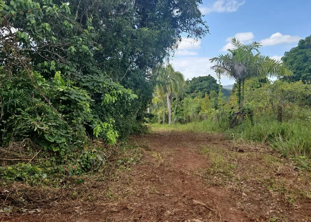 14, CAMINO FRANK ORTIZ KM 12.3 Mayaguez, PR 00680