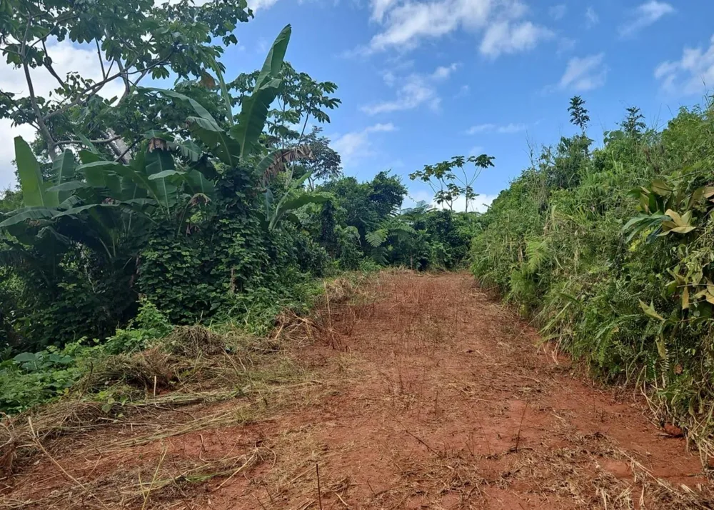 14, CAMINO FRANK ORTIZ KM 12.3 Mayaguez, PR 00680