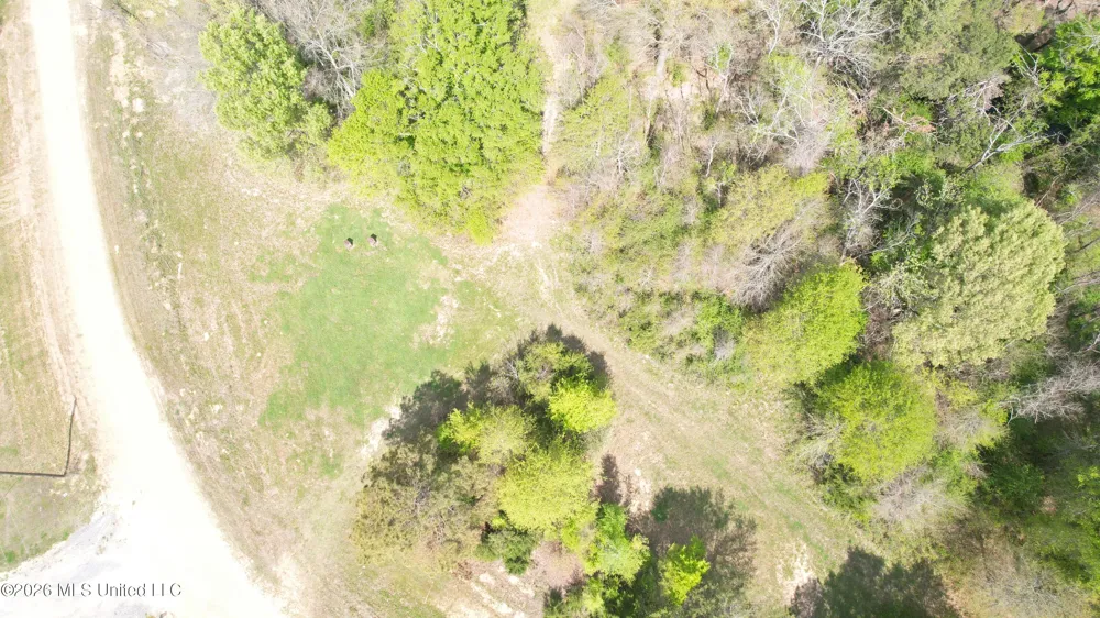 150 Central Boulevard Flora, MS 39071