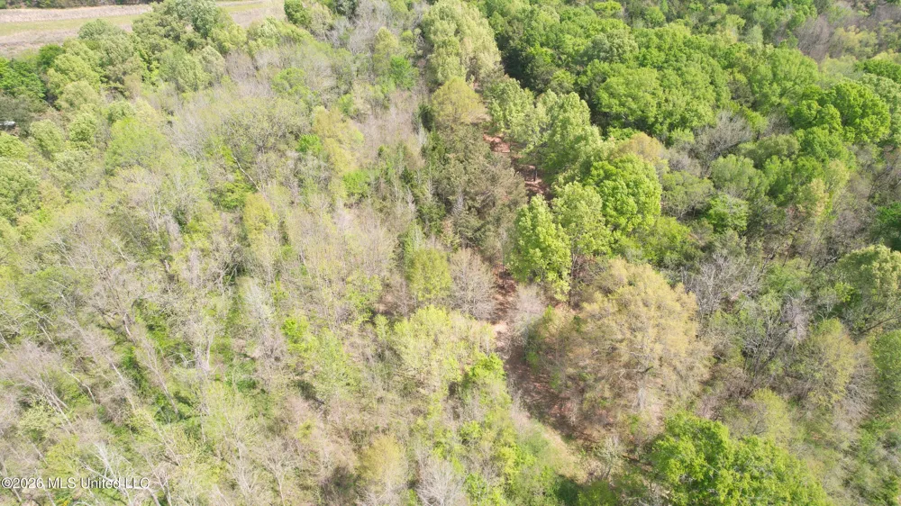 150 Central Boulevard Flora, MS 39071