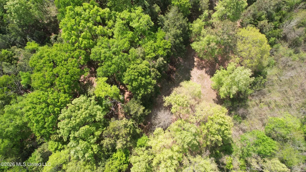 150 Central Boulevard Flora, MS 39071