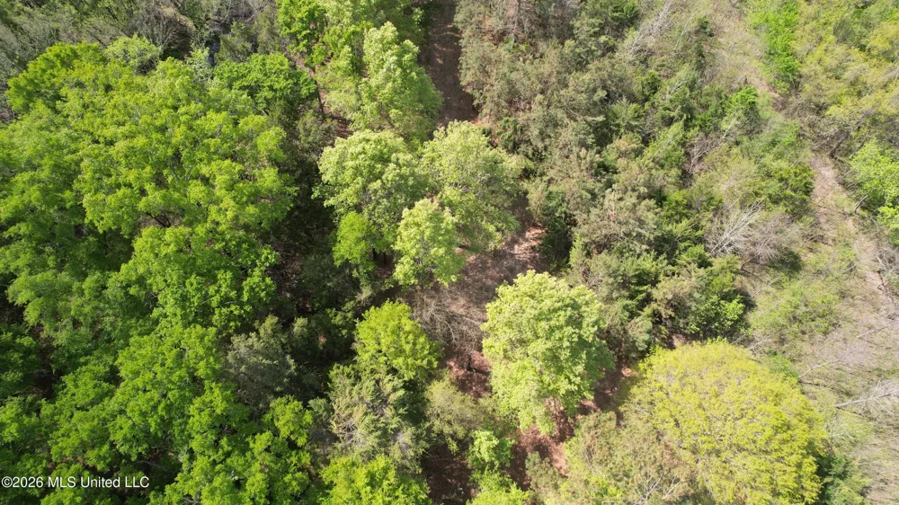 150 Central Boulevard Flora, MS 39071