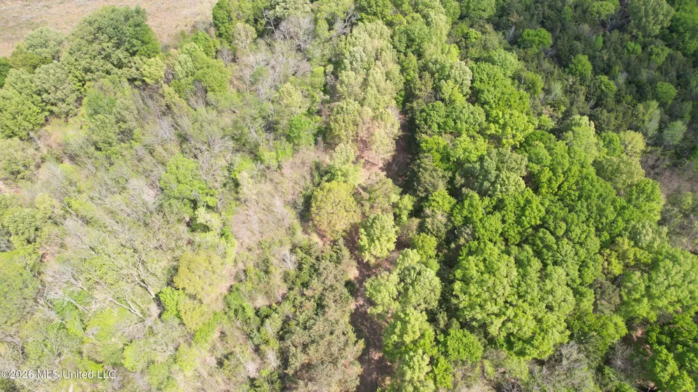150 Central Boulevard Flora, MS 39071