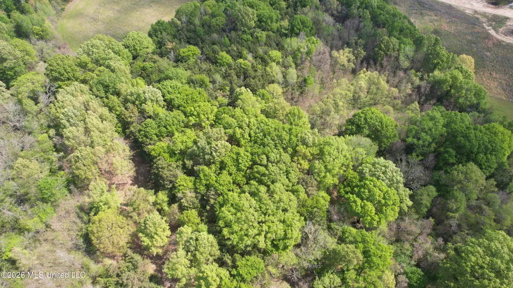 150 Central Boulevard Flora, MS 39071