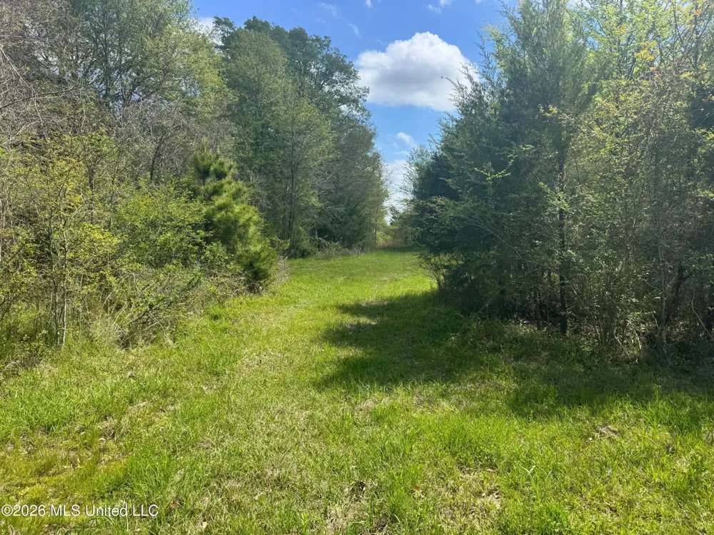 150 Central Boulevard Flora, MS 39071
