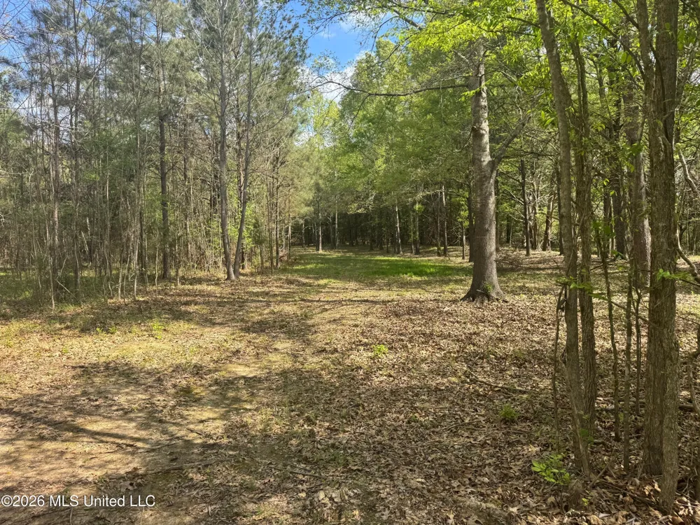 150 Central Boulevard Flora, MS 39071