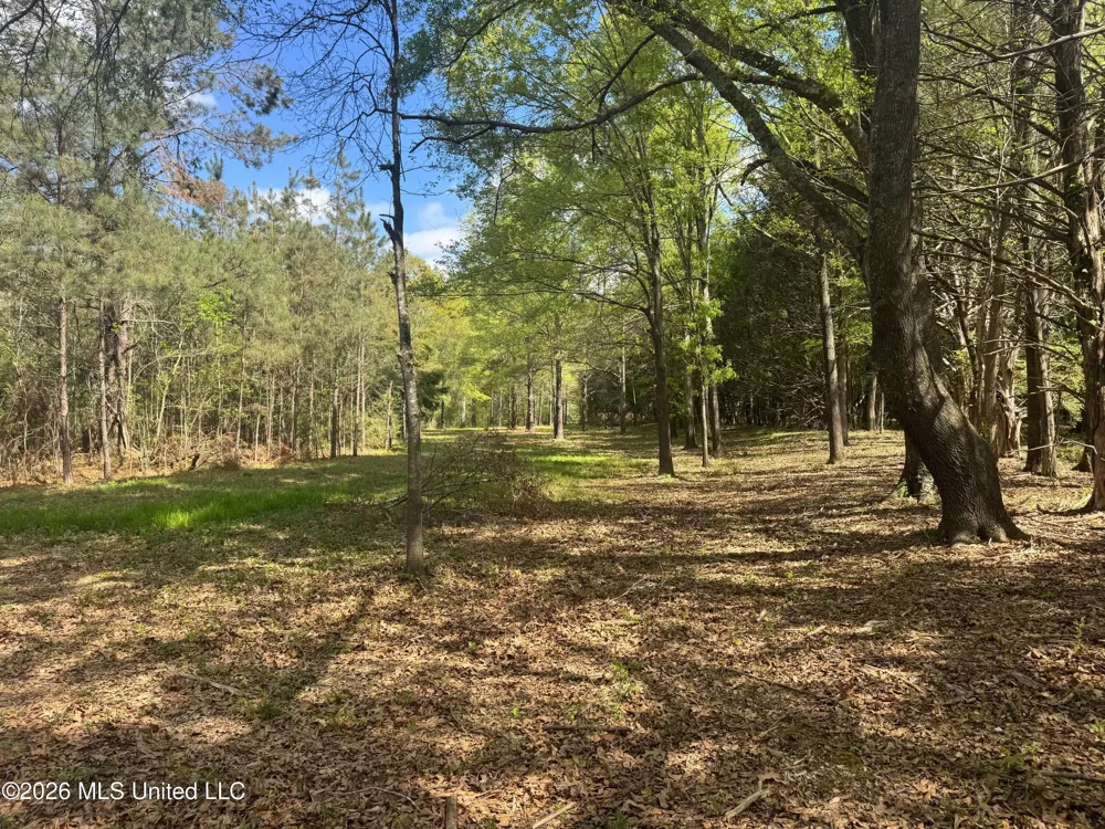 150 Central Boulevard Flora, MS 39071