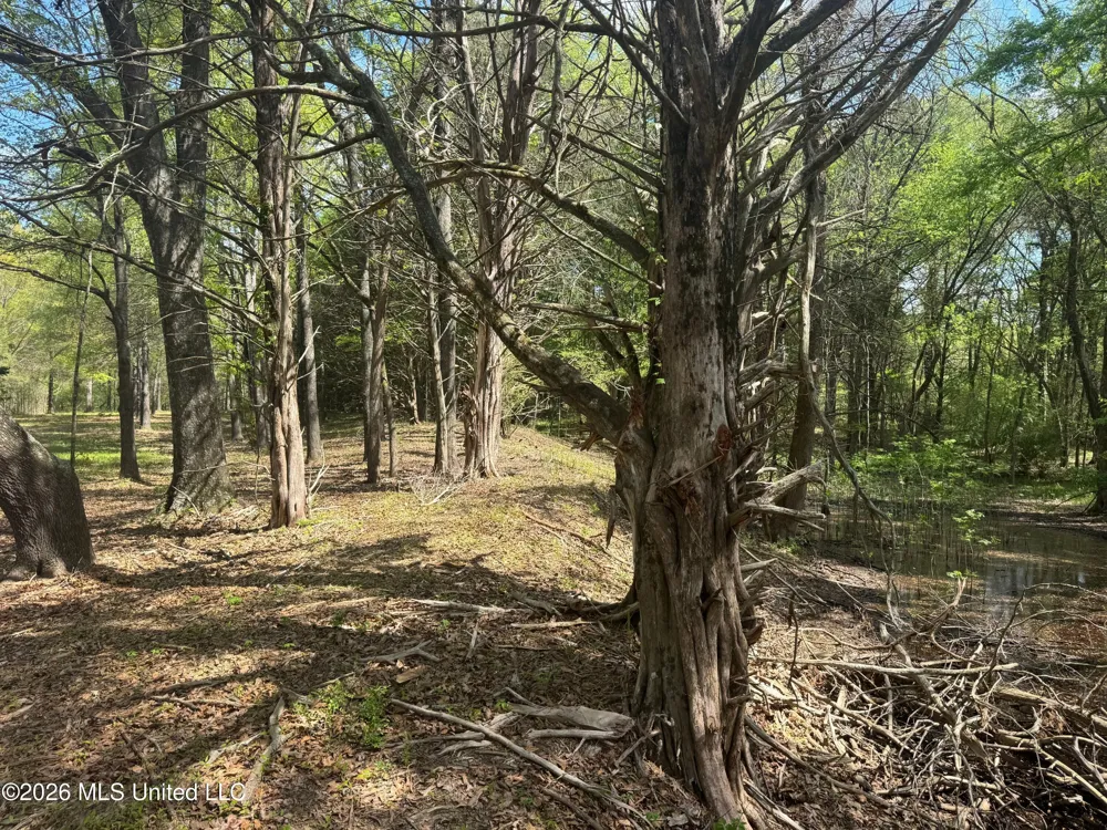 150 Central Boulevard Flora, MS 39071