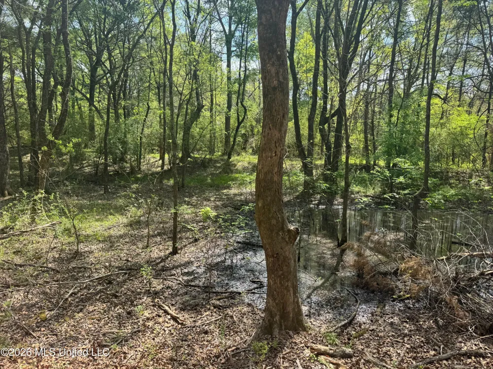150 Central Boulevard Flora, MS 39071