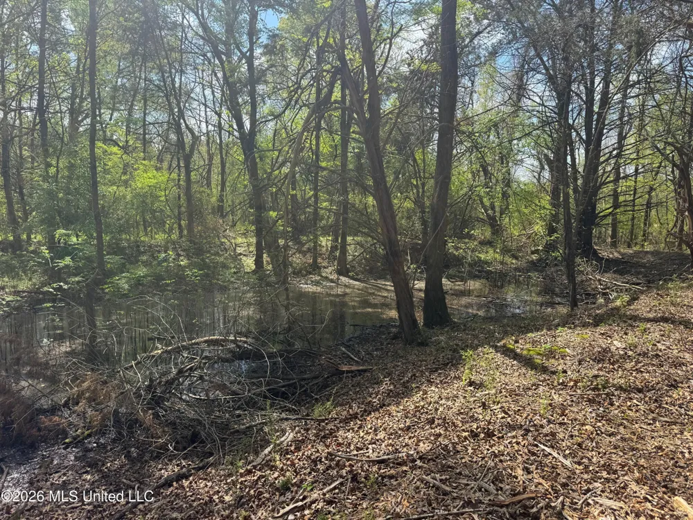 150 Central Boulevard Flora, MS 39071