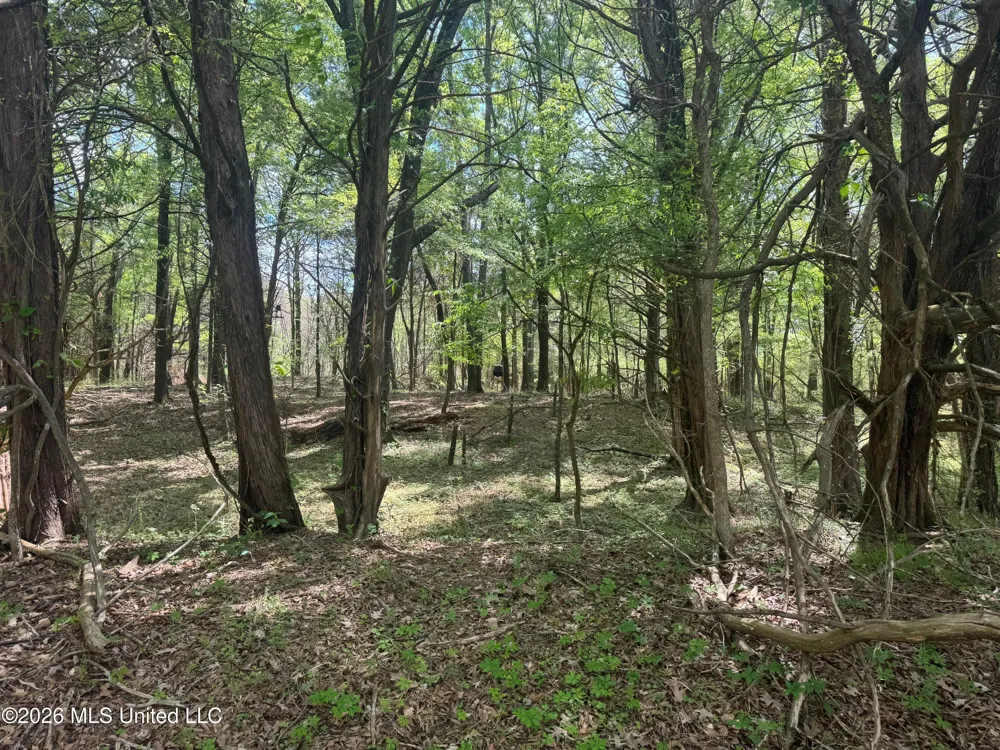 150 Central Boulevard Flora, MS 39071