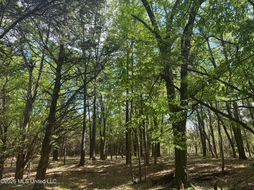 150 Central Boulevard Flora, MS 39071