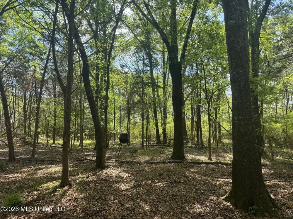 150 Central Boulevard Flora, MS 39071