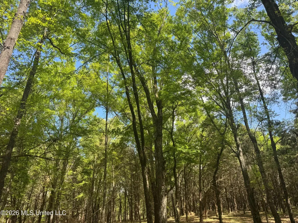 150 Central Boulevard Flora, MS 39071