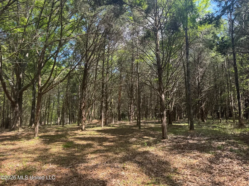 150 Central Boulevard Flora, MS 39071