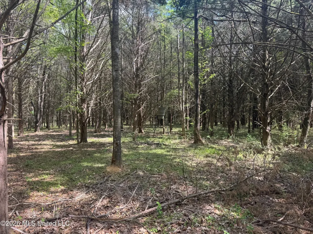 150 Central Boulevard Flora, MS 39071