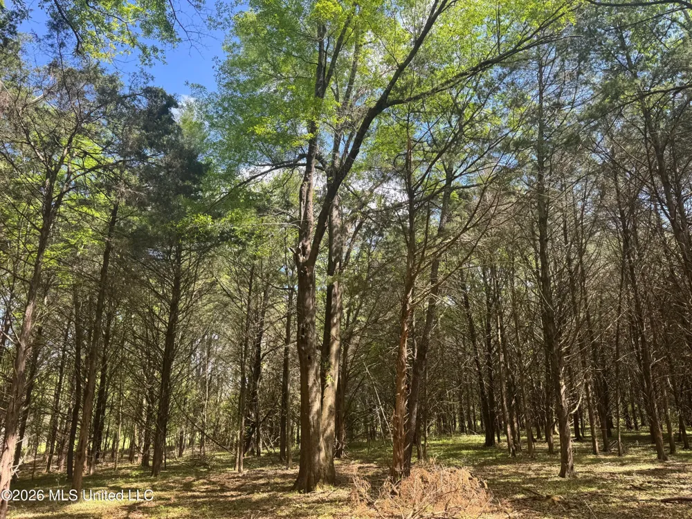 150 Central Boulevard Flora, MS 39071
