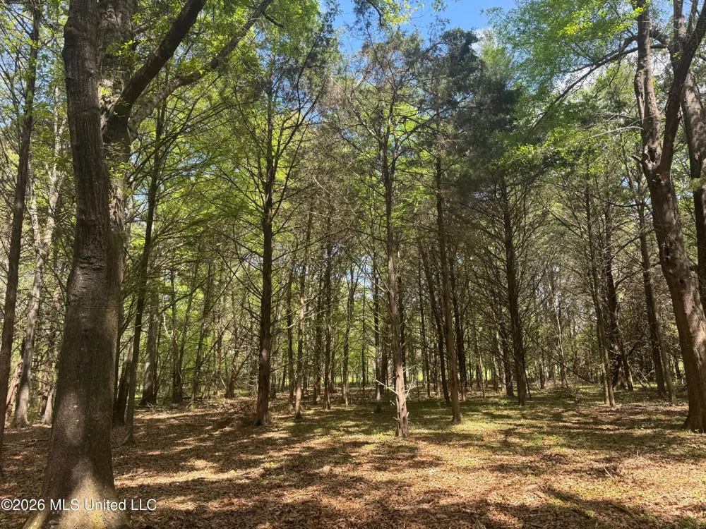 150 Central Boulevard Flora, MS 39071