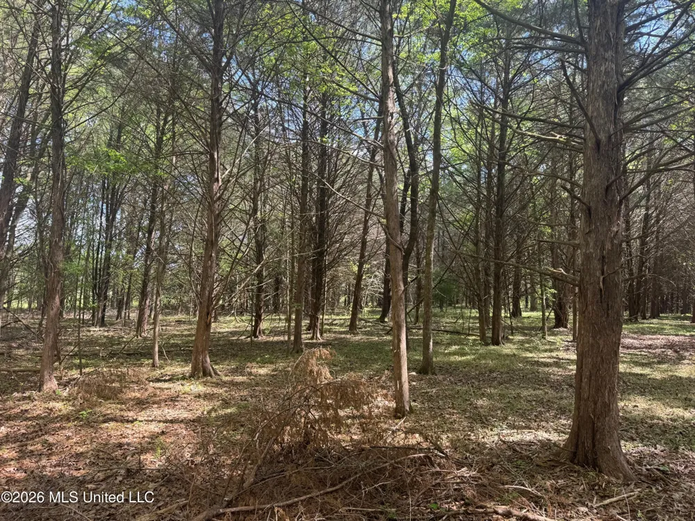 150 Central Boulevard Flora, MS 39071