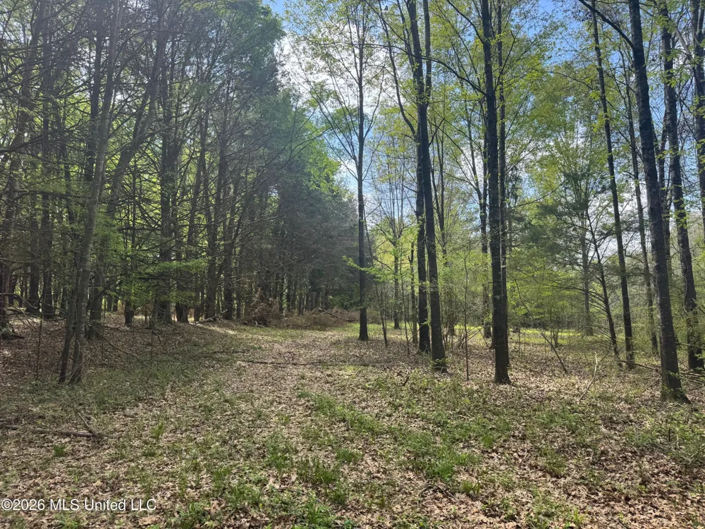 150 Central Boulevard Flora, MS 39071