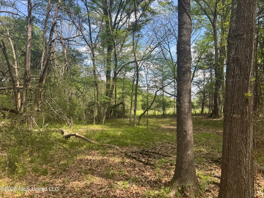 150 Central Boulevard Flora, MS 39071