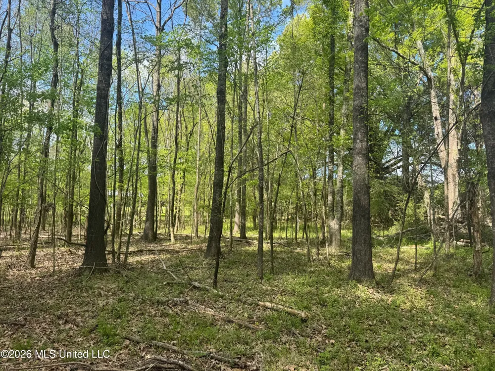 150 Central Boulevard Flora, MS 39071