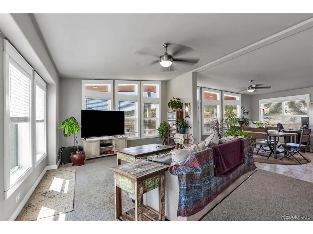 1787 17th Trail Cotopaxi, CO 81223