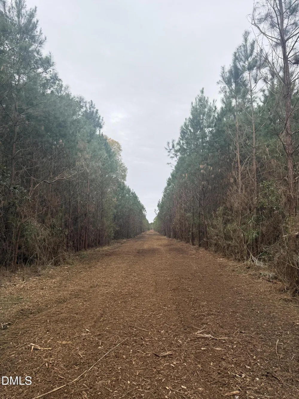 00 U.S. 117 Wilson, NC 27893