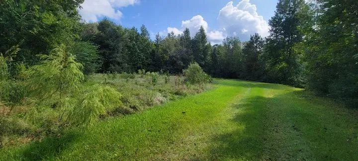 1325 County Road 2650 Rye, TX 77369