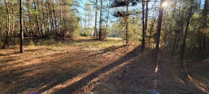 1325 County Road 2650 Rye, TX 77369