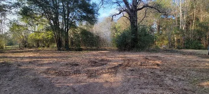 1325 County Road 2650 Rye, TX 77369