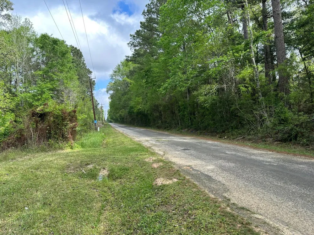 1325 County Road 2650 Rye, TX 77369