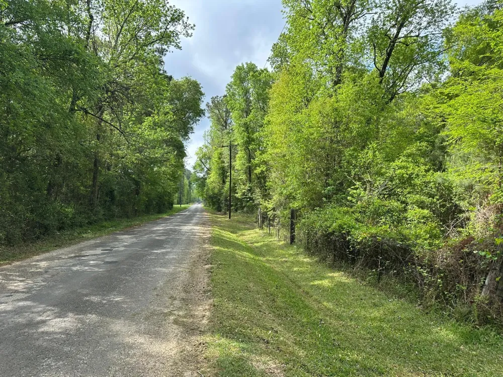 1325 County Road 2650 Rye, TX 77369