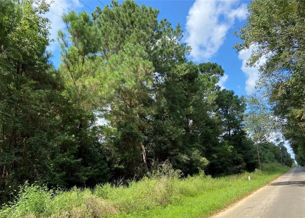 1325 County Road 2650 Rye, TX 77369