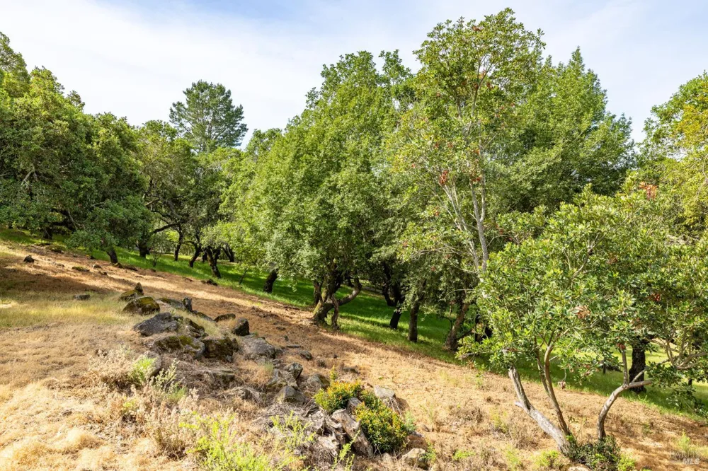 Rim Rock Way Santa Rosa, CA 95404